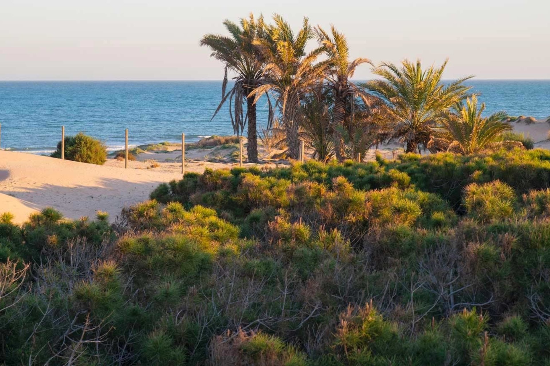 Resale - Apartment -
Guardamar del Segura - Costa Blanca