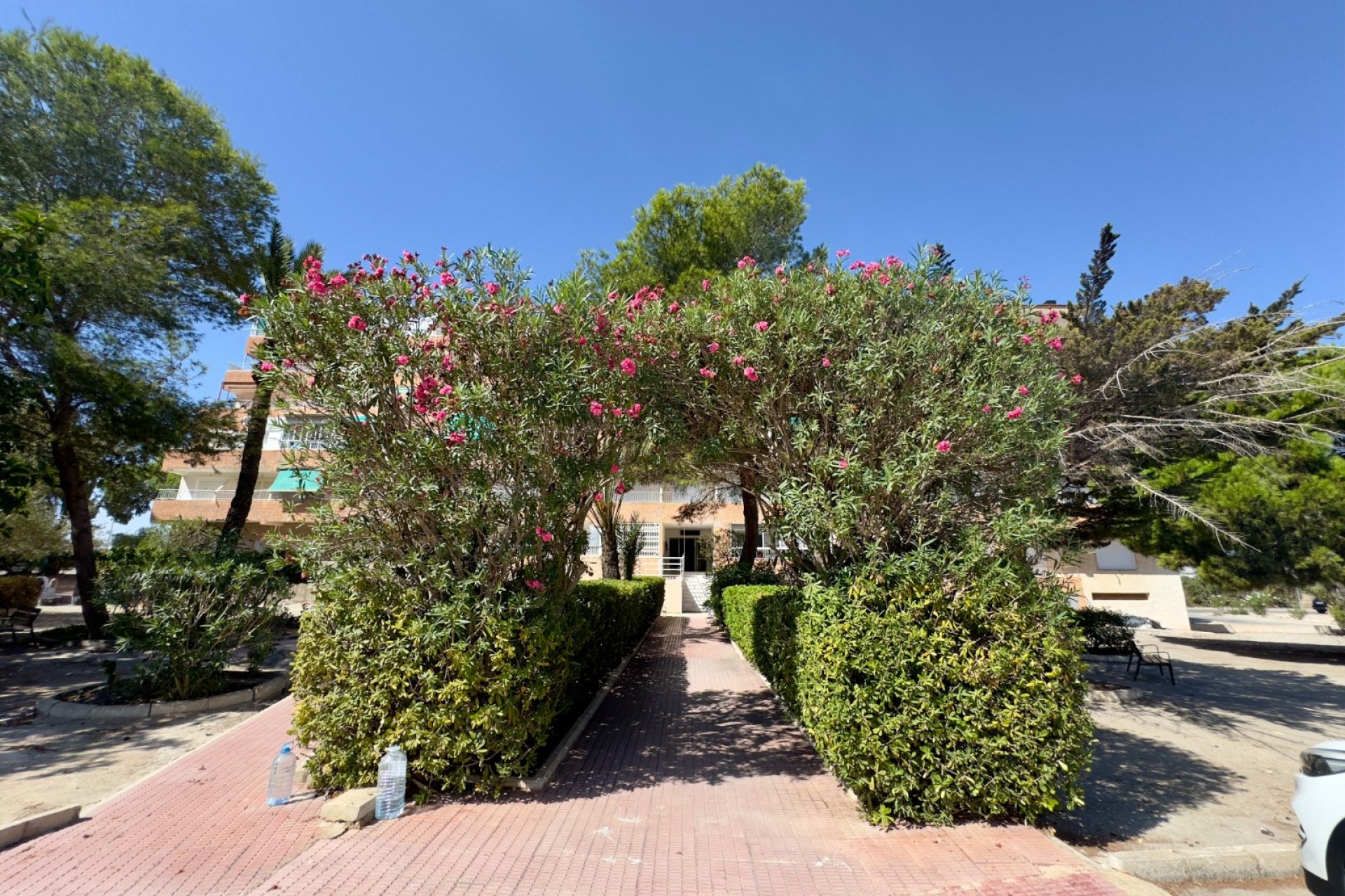 Resale - Apartment -
Guardamar del Segura - Pinomar