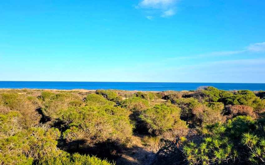 Resale - Apartment -
Guardamar del Segura - Pinomar