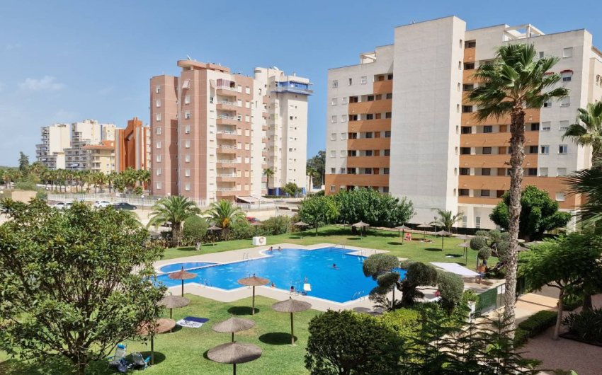 Resale - Apartment -
Guardamar del Segura - Puerto