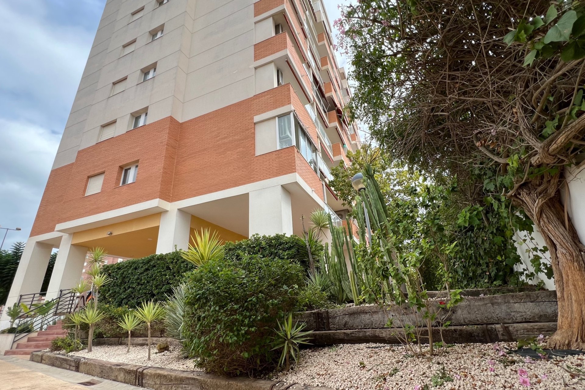 Resale - Apartment -
Guardamar del Segura - Puerto