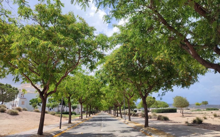 Resale - Apartment -
Hacienda Riquelme Golf Resort - Inland