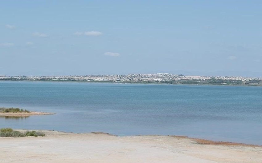 Resale - Apartment -
La Mata - La Mata - Town