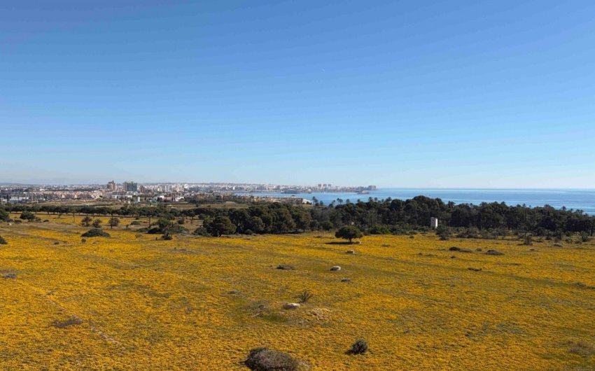 Resale - Apartment -
Orihuela Costa - Costa Blanca