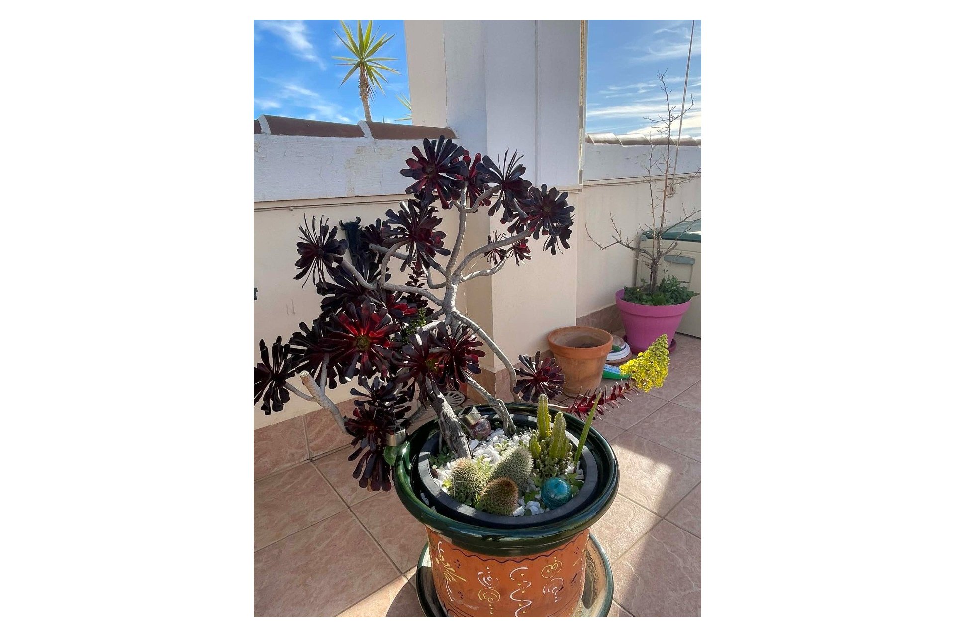 Resale - Apartment -
Orihuela Costa - Los Altos