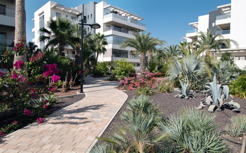 Resale - Apartment -
Orihuela Costa - Los Dolses
