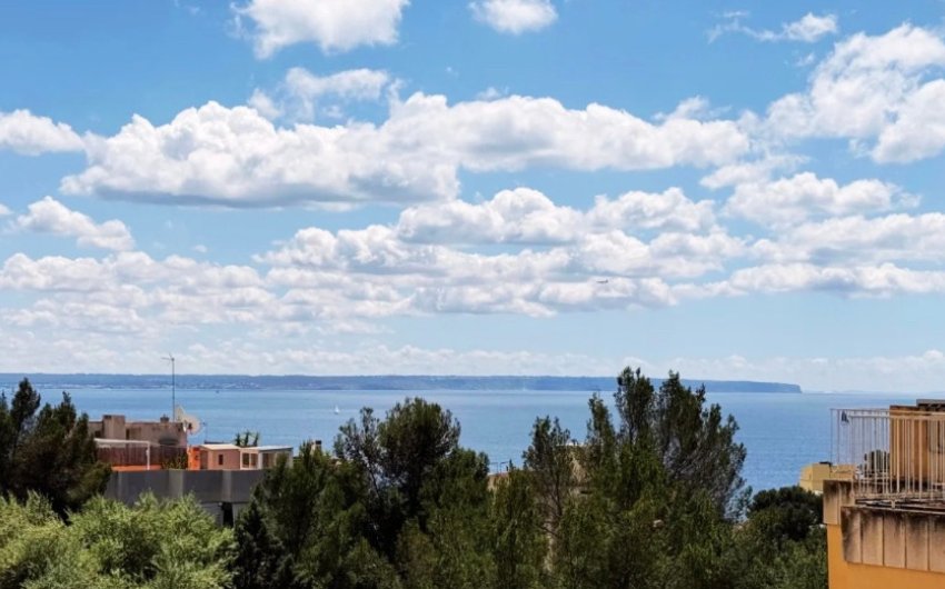 Resale - Apartment -
PALMA - Sant Agustí