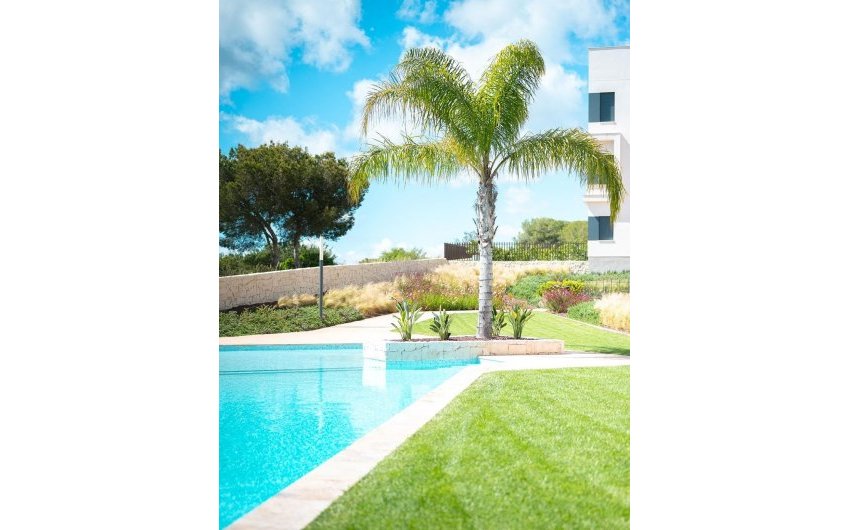 Resale - Apartment -
Pilar de la Horadada - Costa Blanca