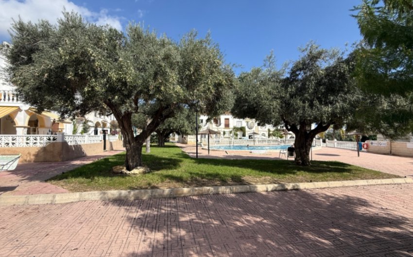 Resale - Apartment -
San Miguel de Salinas - Costa Blanca Sur