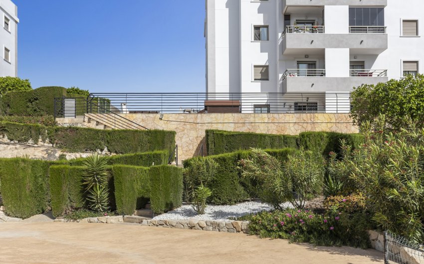 Resale - Apartment -
San Miguel de Salinas - Inland