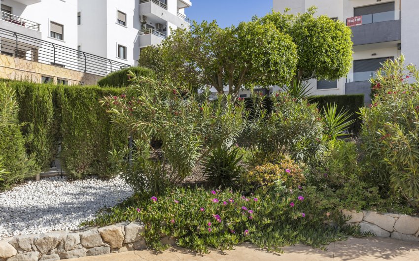 Resale - Apartment -
San Miguel de Salinas - Inland