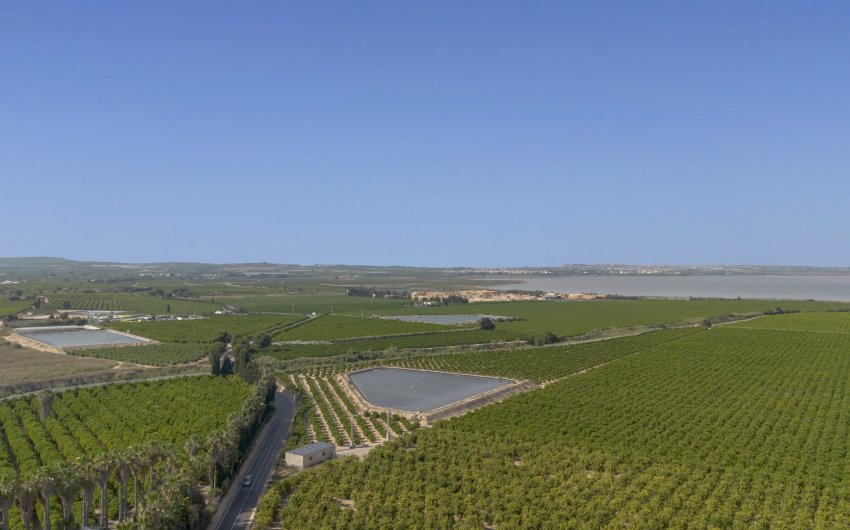 Resale - Apartment -
San Miguel de Salinas - Inland