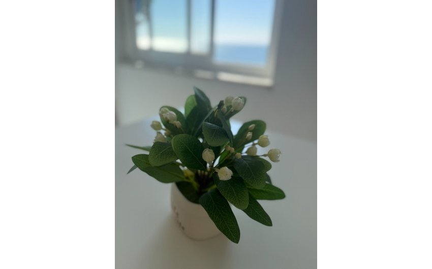 Resale - Apartment -
Santa Pola