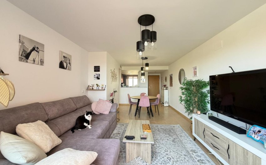 Resale - Apartment -
Torre Pacheco - Inland