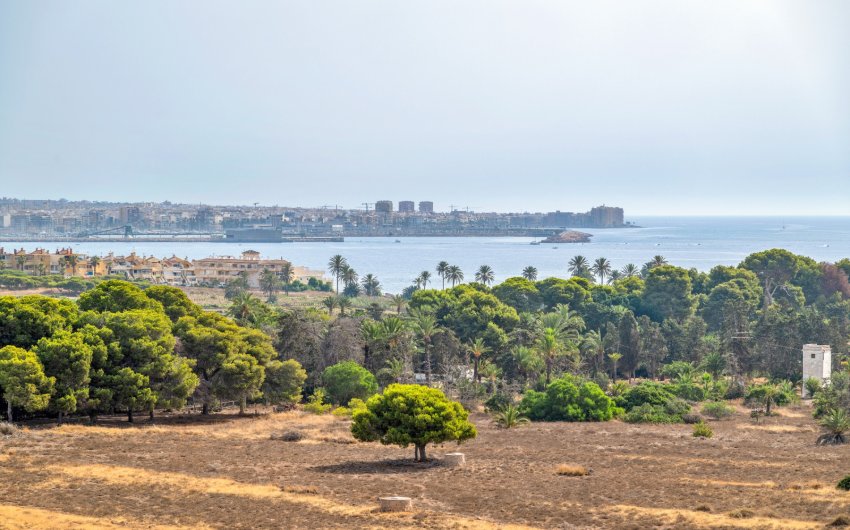 Resale - Apartment -
Torrevieja - Costa Blanca