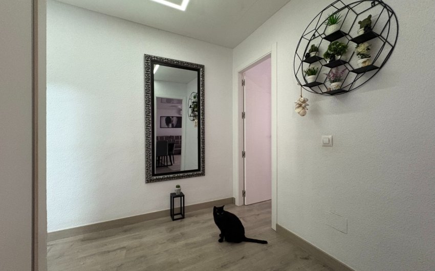 Resale - Apartment -
Torrevieja - Costa Blanca