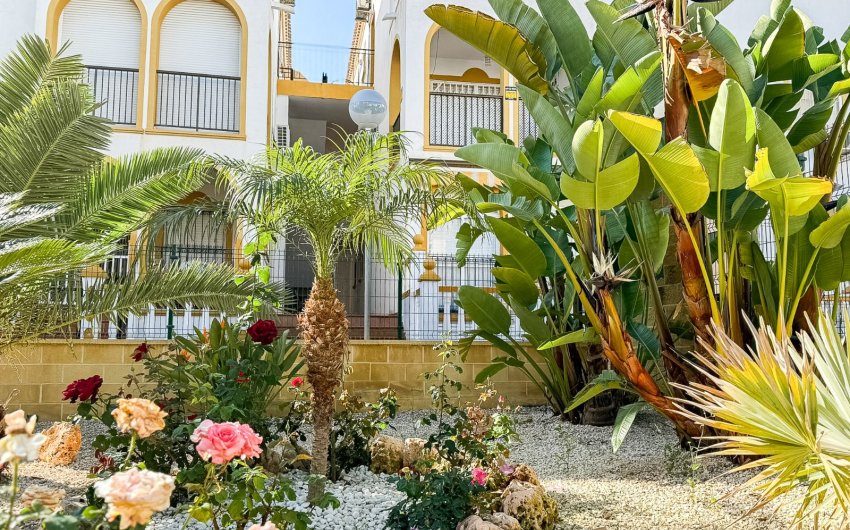 Resale - Apartment -
Torrevieja - La Mata