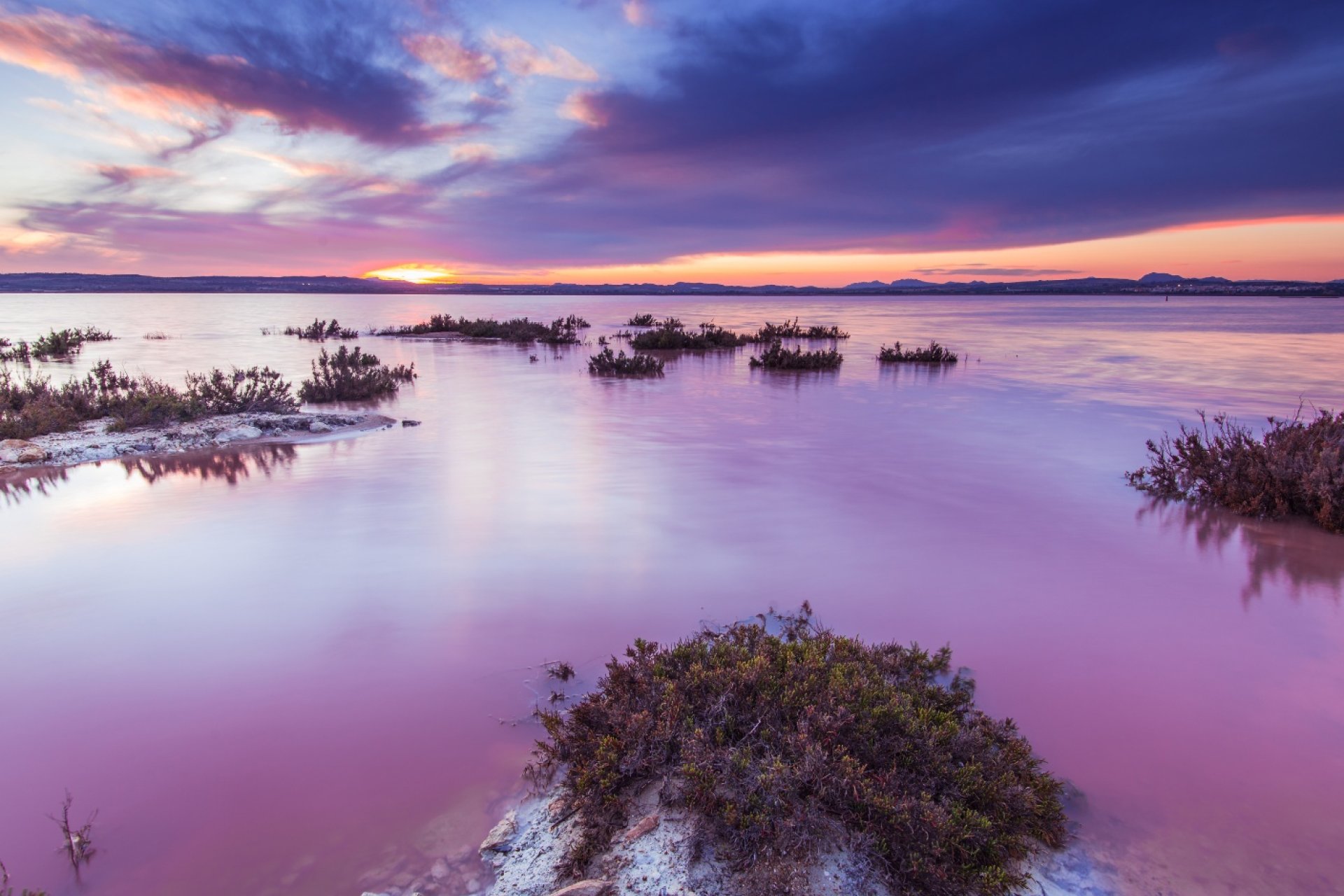 Resale - Apartment -
Torrevieja - La Mata