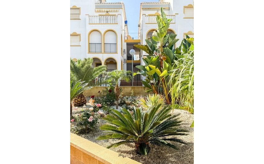 Resale - Apartment -
Torrevieja - La Mata