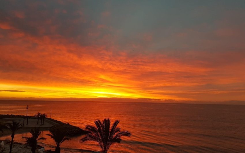 Resale - Apartment -
Torrevieja - Las Piscinas Naturales