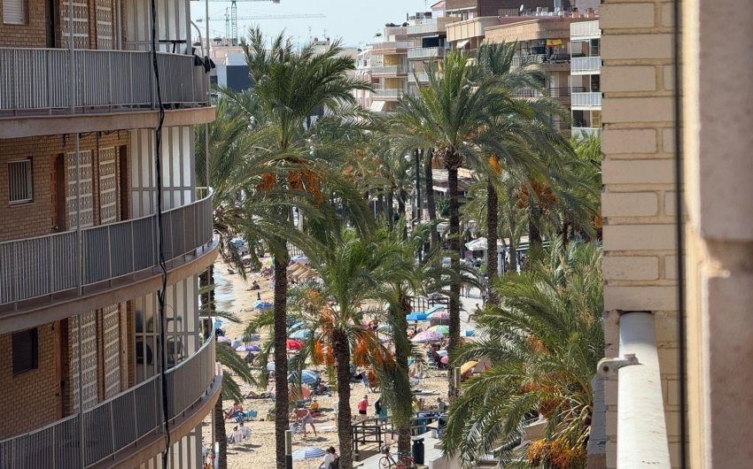 Resale - Apartment -
Torrevieja - Playa del Cura