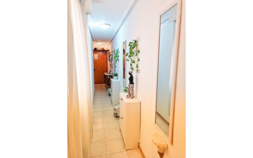 Resale - Apartment -
Torrevieja - Playa del Cura