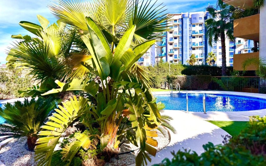 Resale - Apartment -
Torrevieja - Punta Prima
