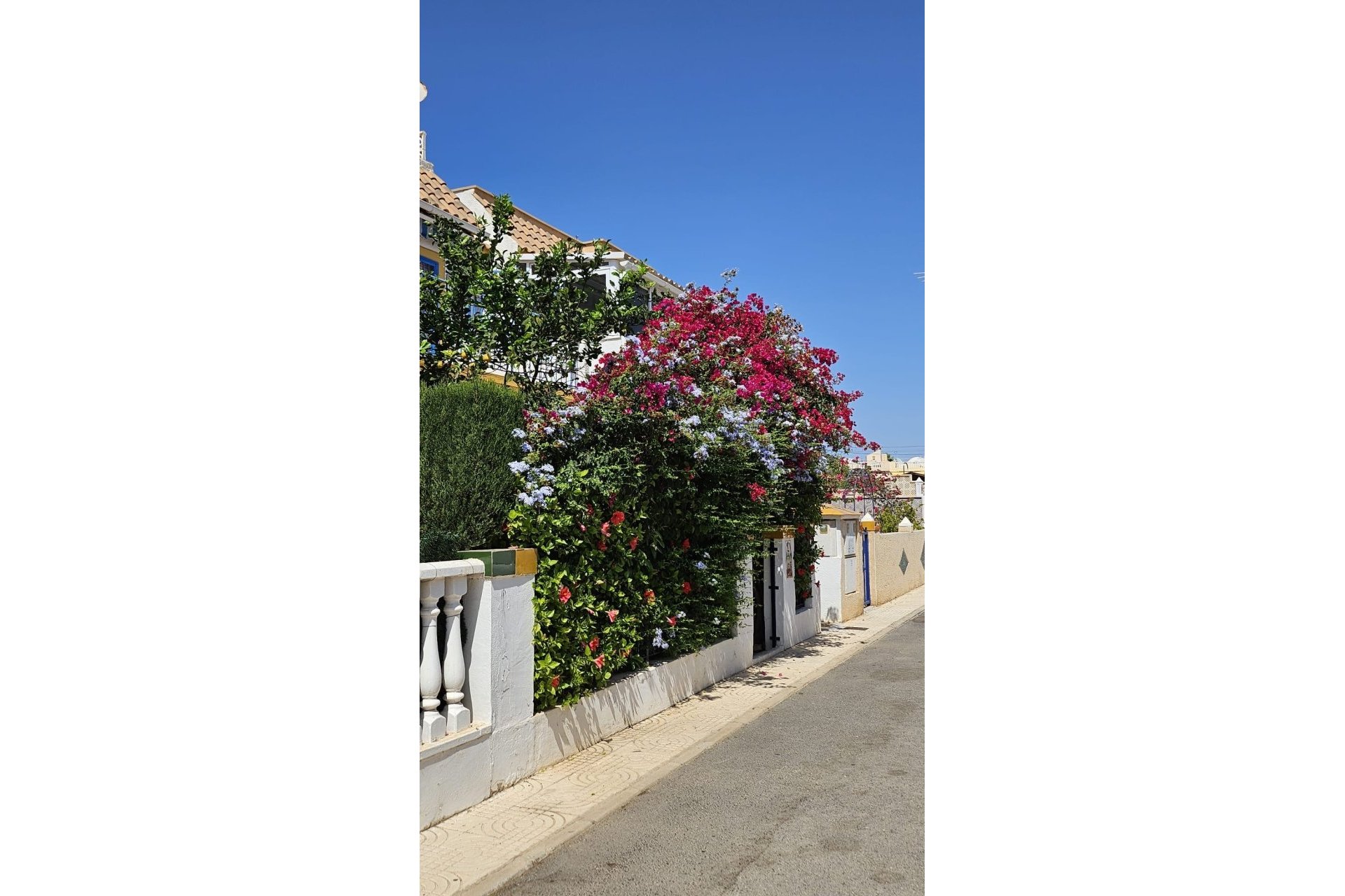 Resale - Bungalow -
Orihuela Costa - Costa Blanca