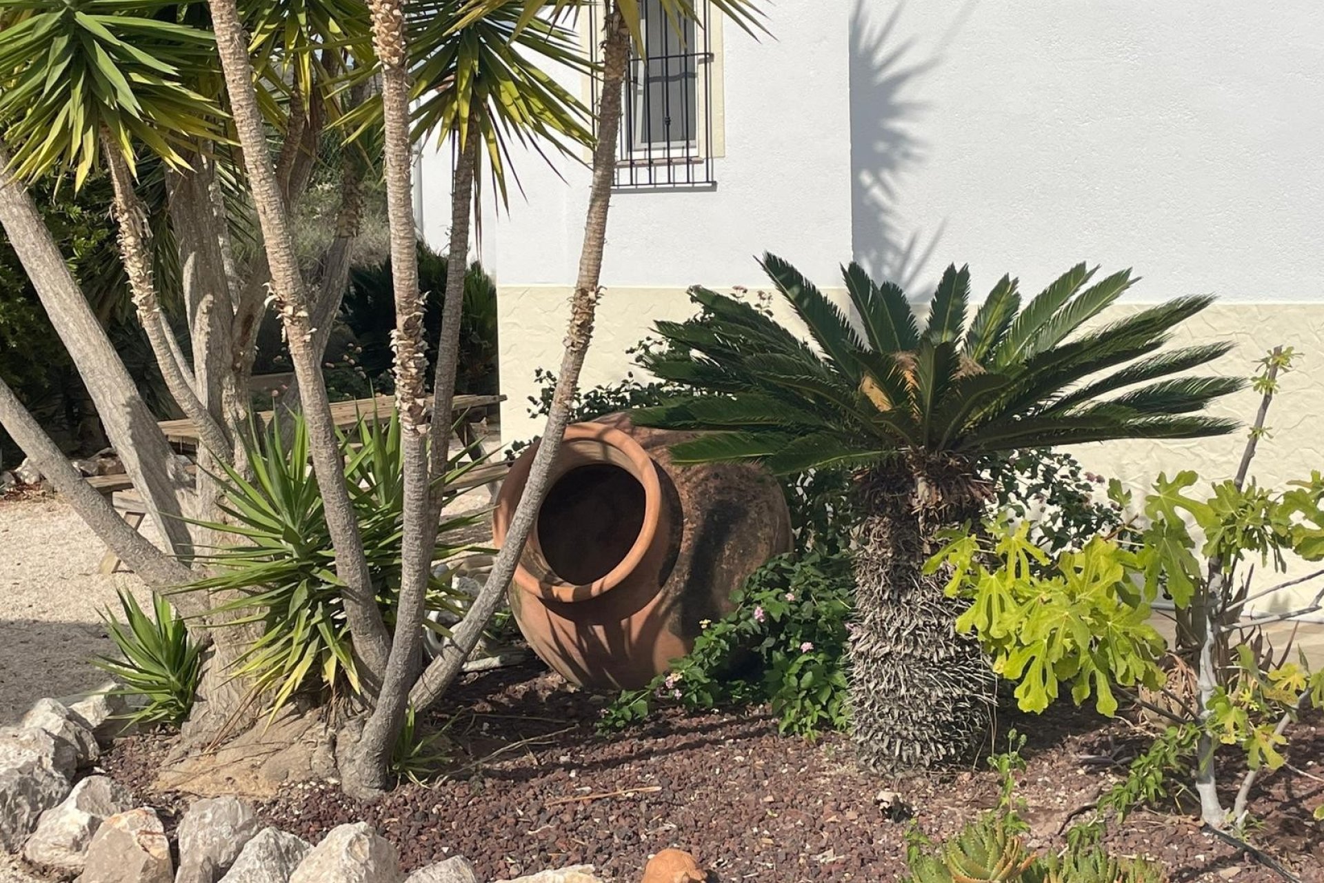 Resale - Country House -
Abanilla