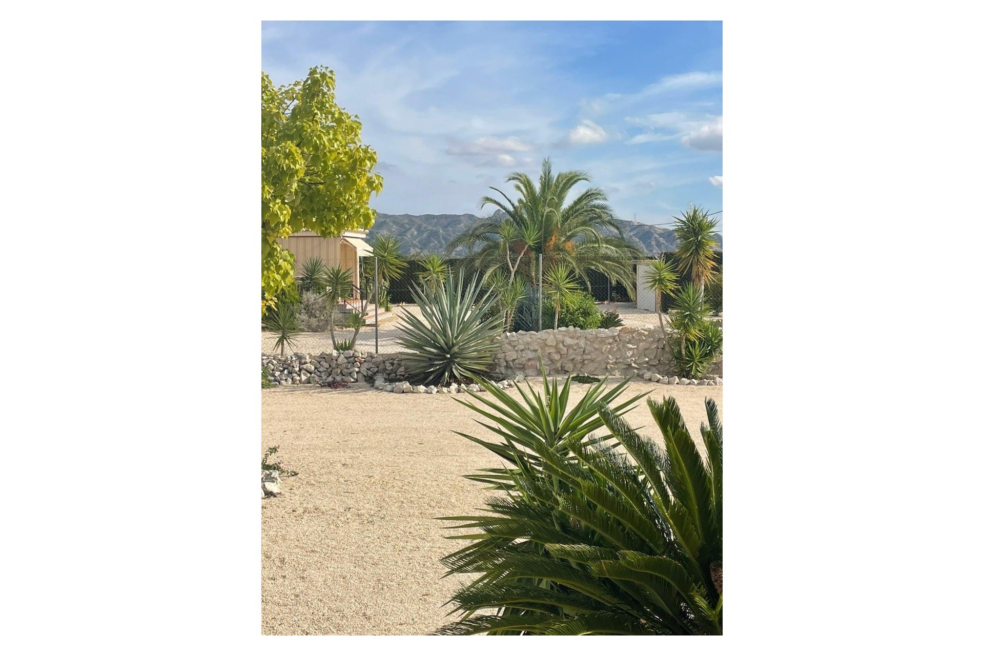 Resale - Country House -
Abanilla