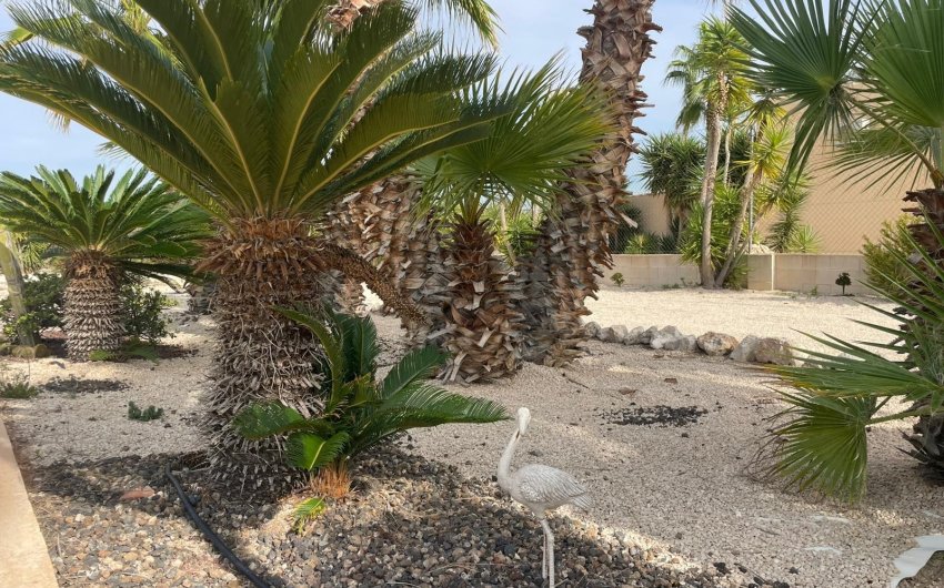 Resale - Country House -
Abanilla