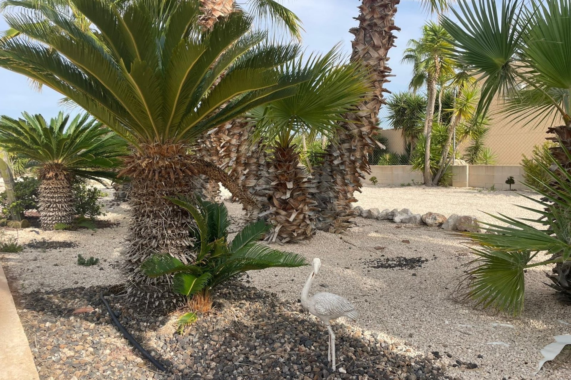 Resale - Country House -
Abanilla