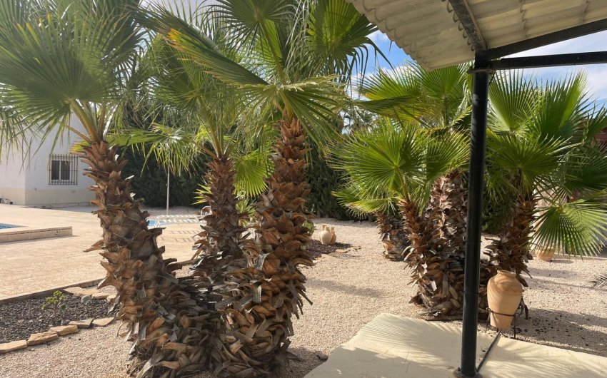 Resale - Country House -
Abanilla