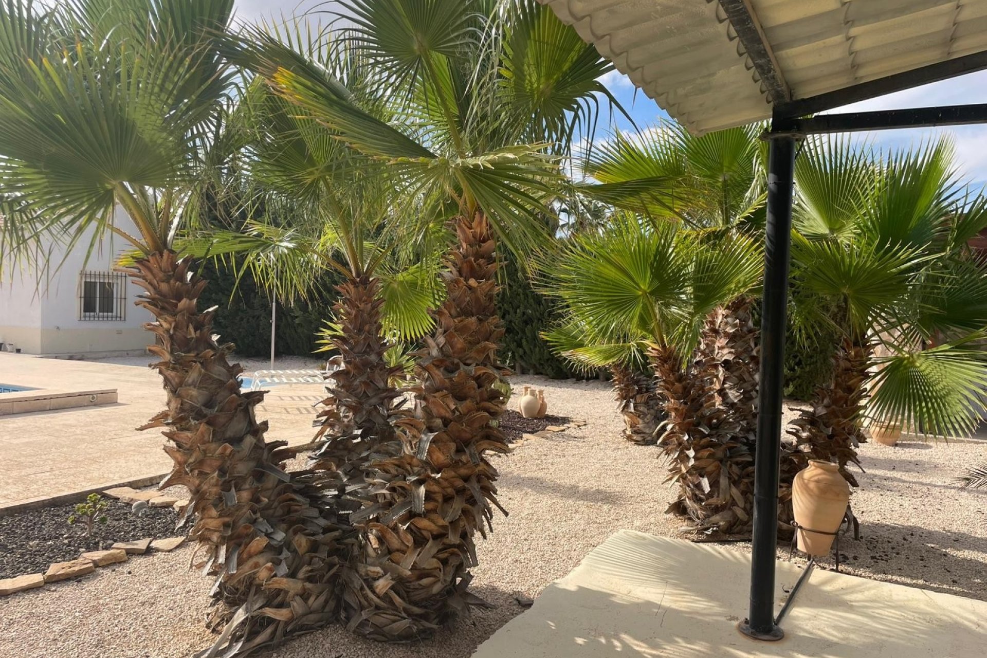 Resale - Country House -
Abanilla