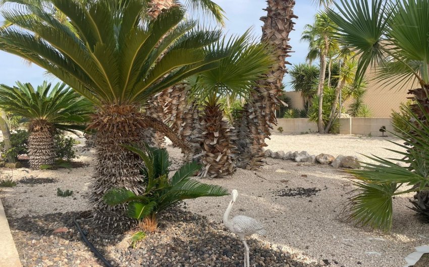 Resale - Country House -
Abanilla