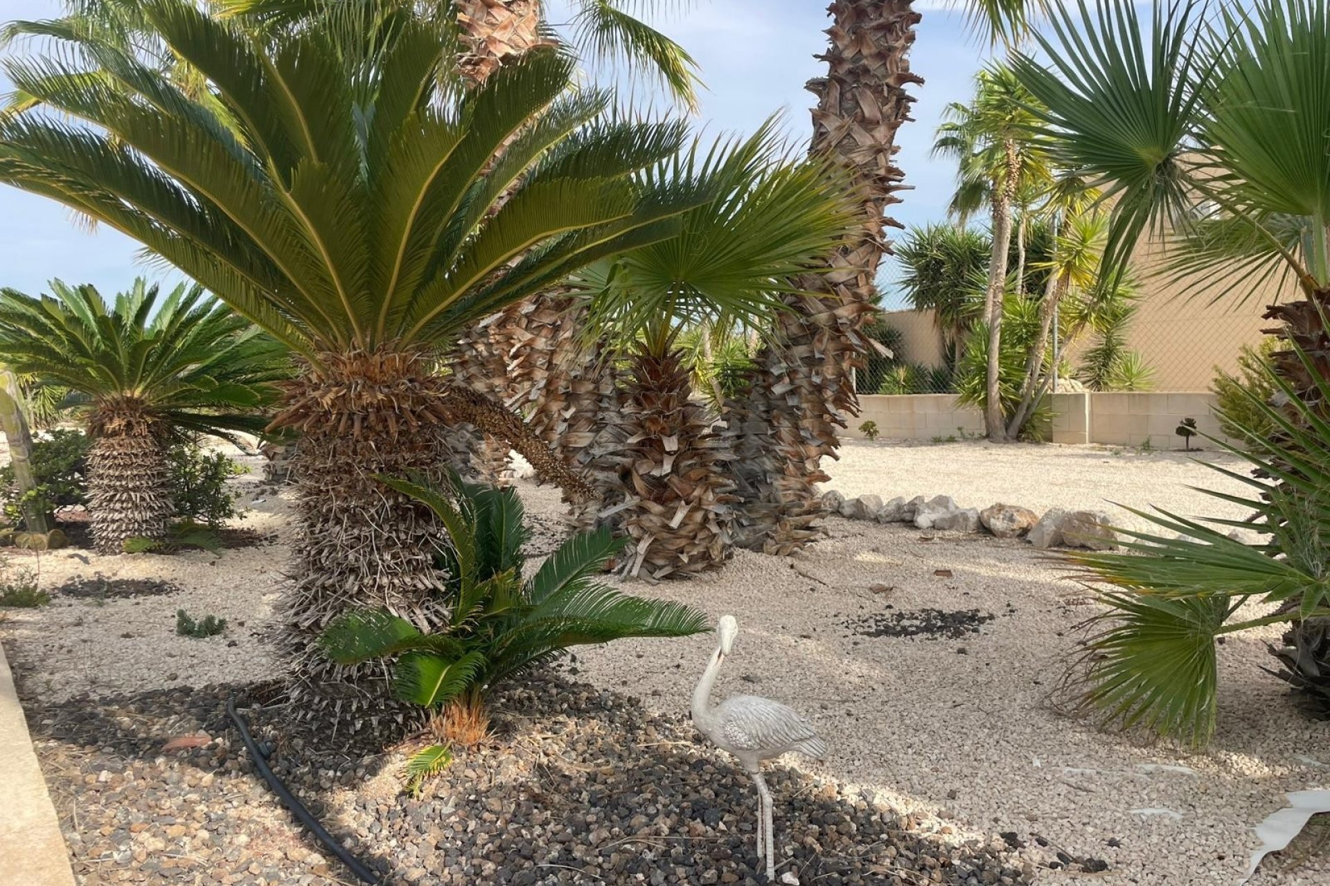 Resale - Country House -
Abanilla