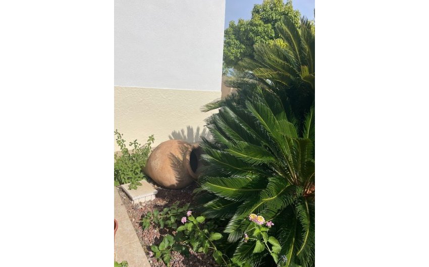 Resale - Country House -
Abanilla