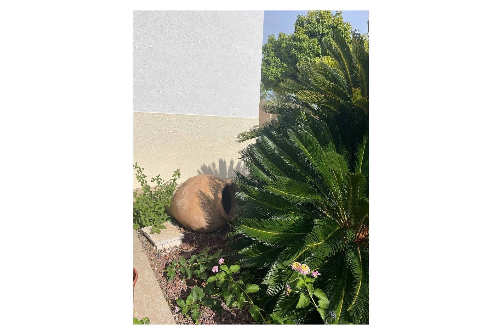 Resale - Country House -
Abanilla