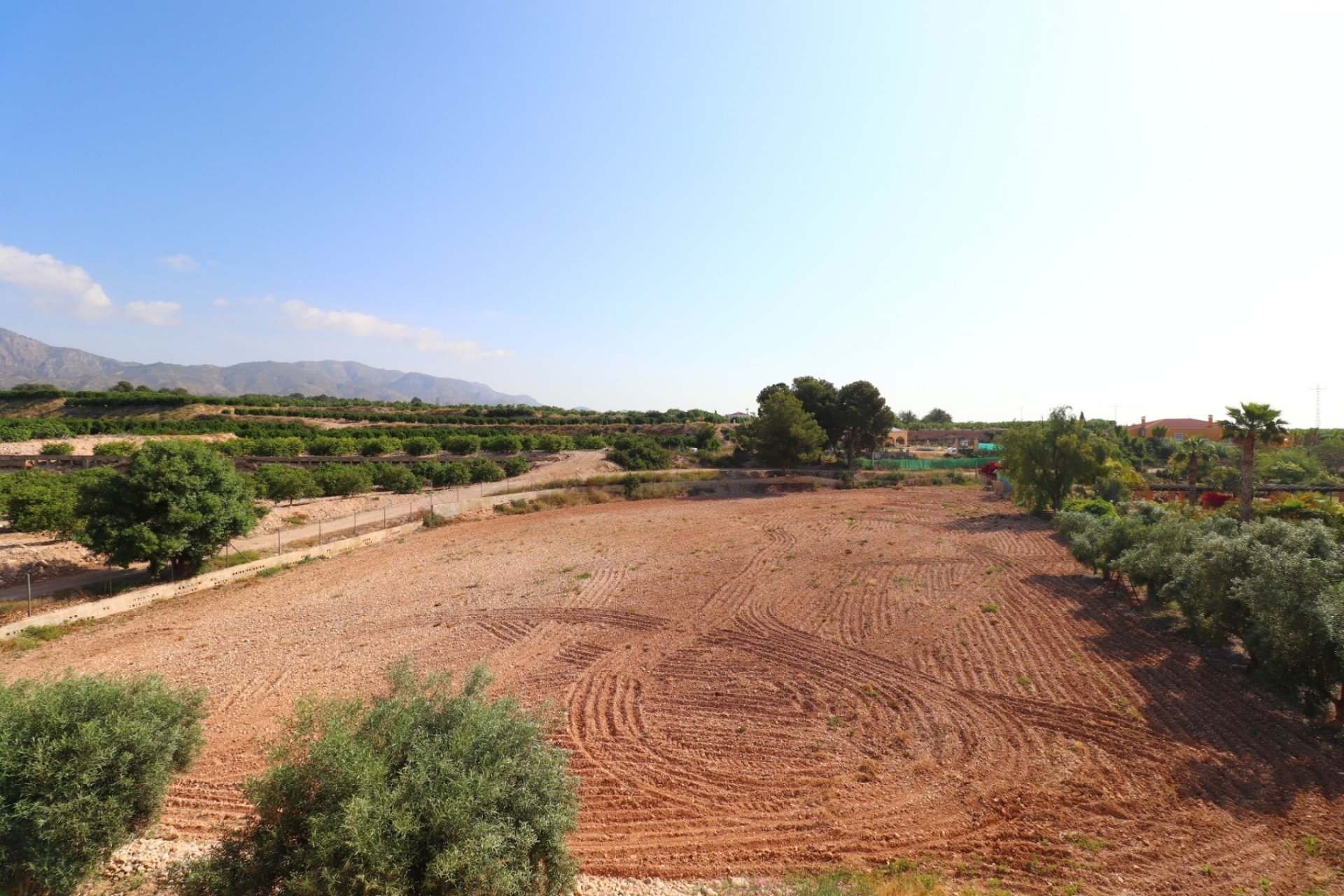 Resale - Country House -
Albatera - Albatera - Country