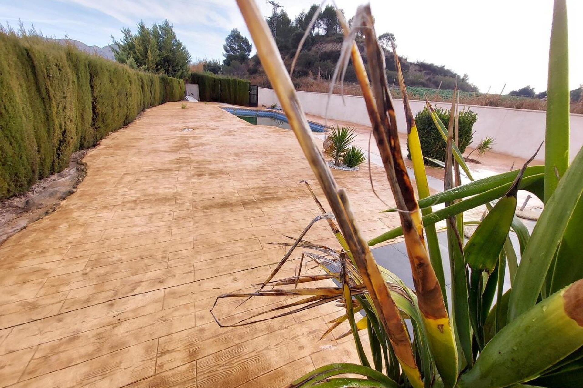 Resale - Country House -
Calasparra - Inland