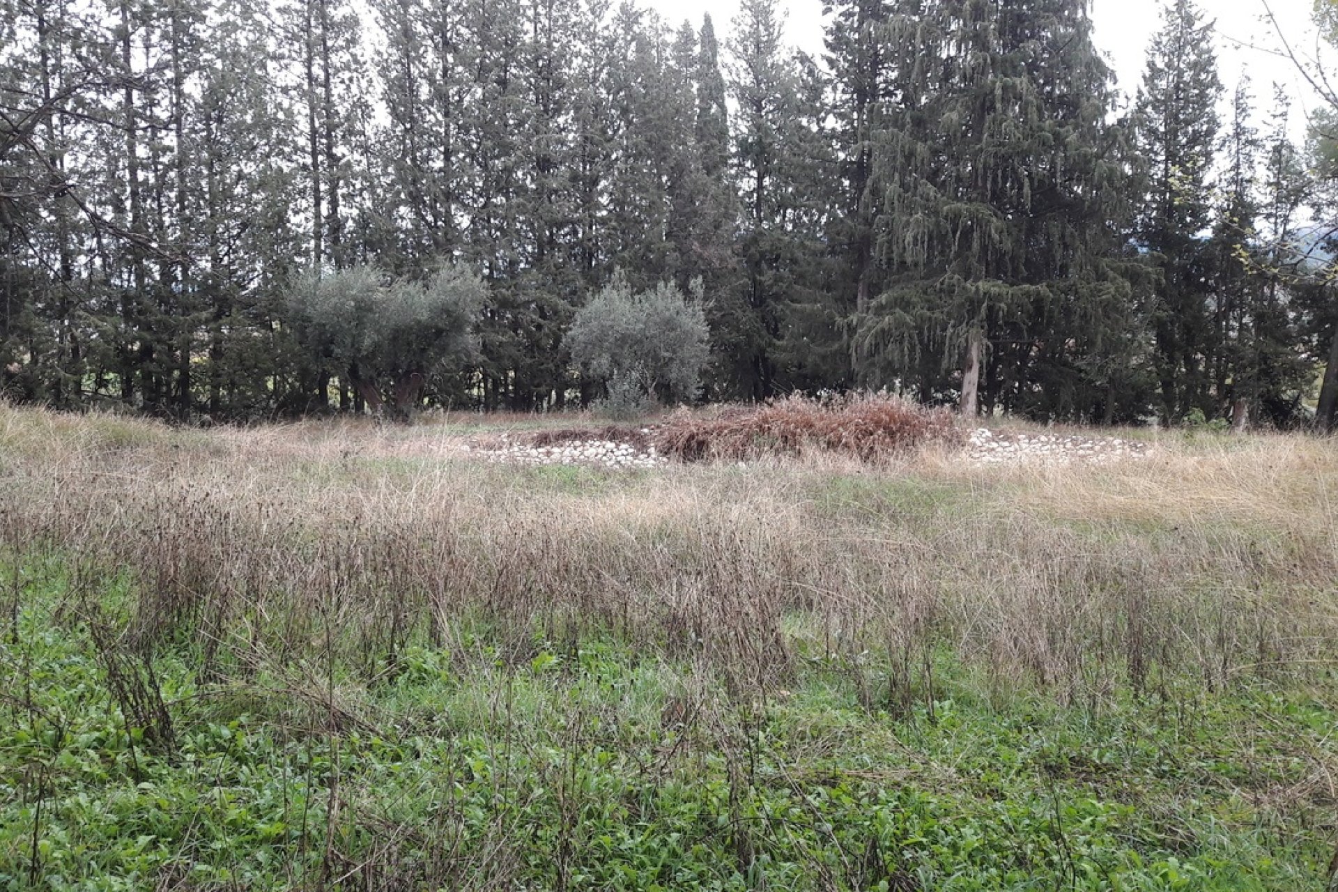 Resale - Country House -
Caravaca de la Cruz - Inland