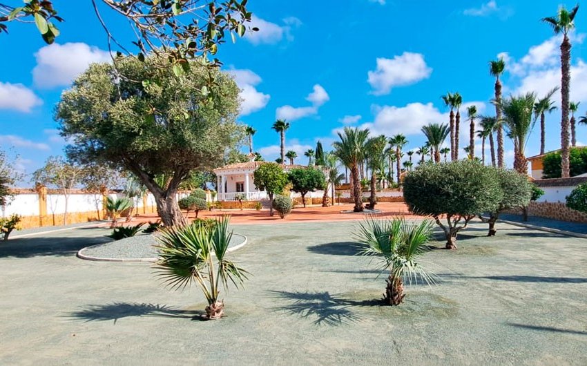 Resale - Country House -
Catral - Catral - Country