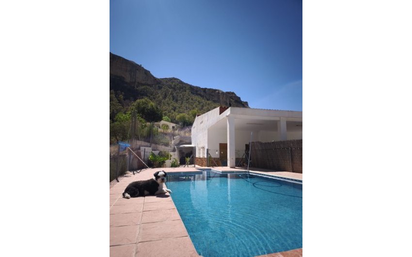 Resale - Country House -
Crevillent - Inland