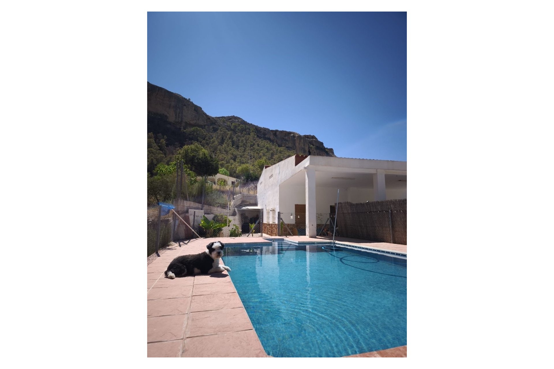 Resale - Country House -
Crevillent - Inland