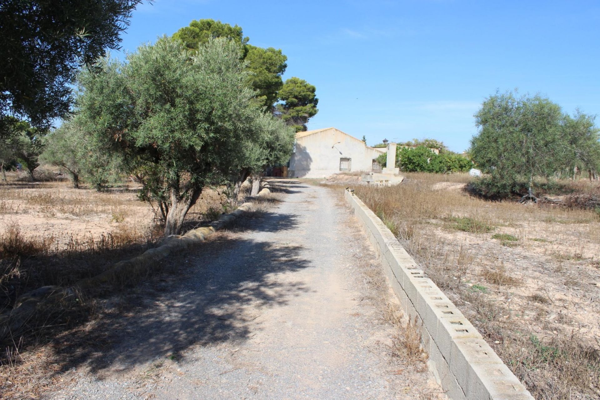 Resale - Country House -
Elche - Altabix