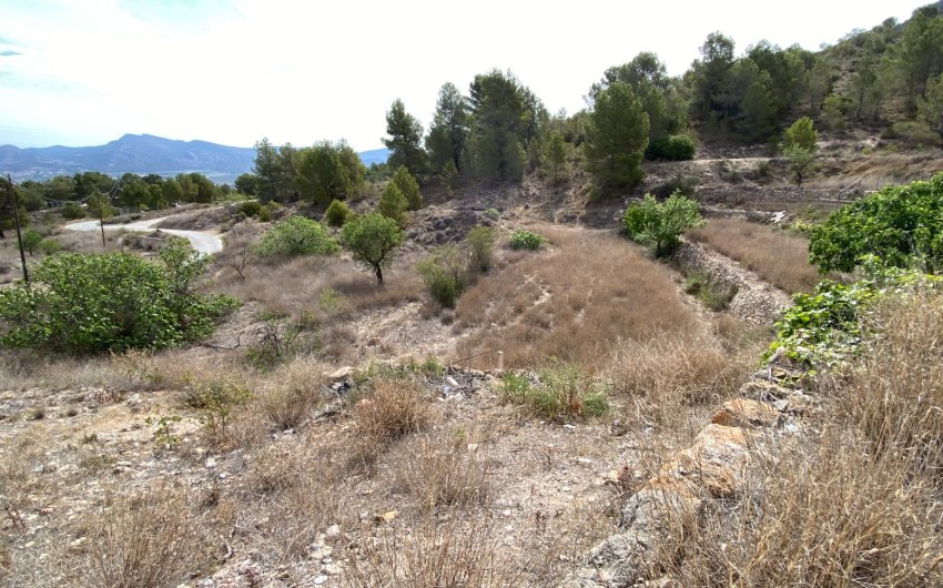 Resale - Country House -
Elda