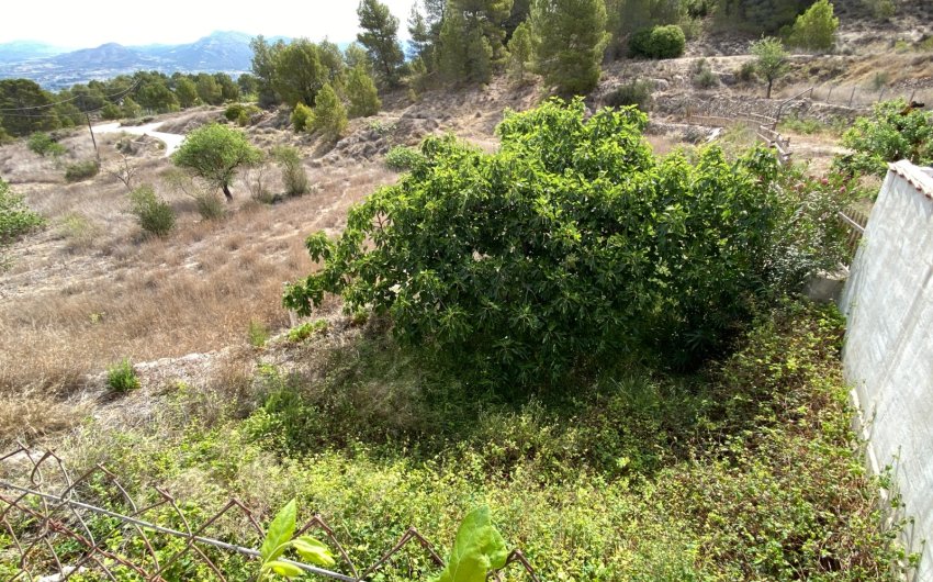 Resale - Country House -
Elda