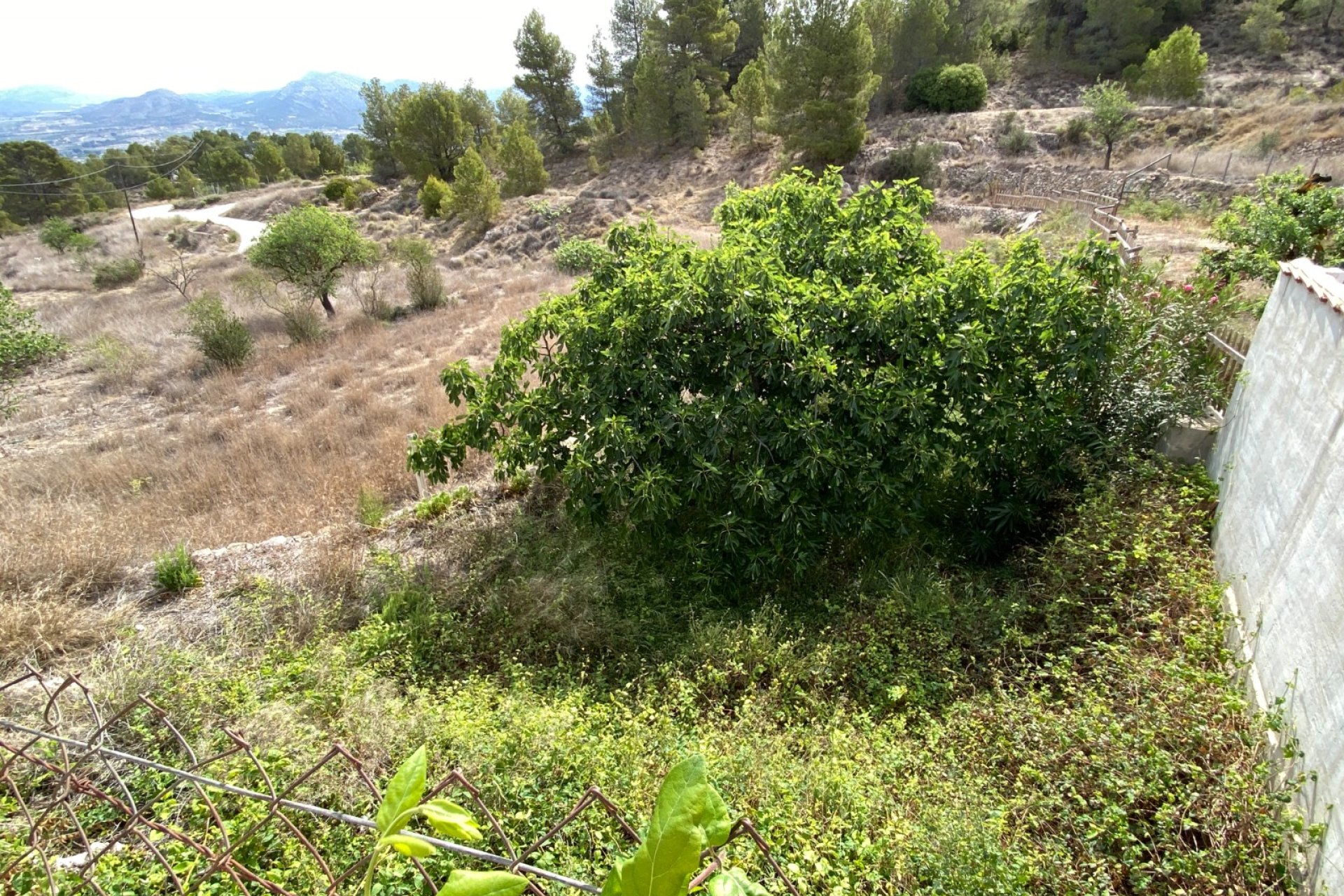 Resale - Country House -
Elda