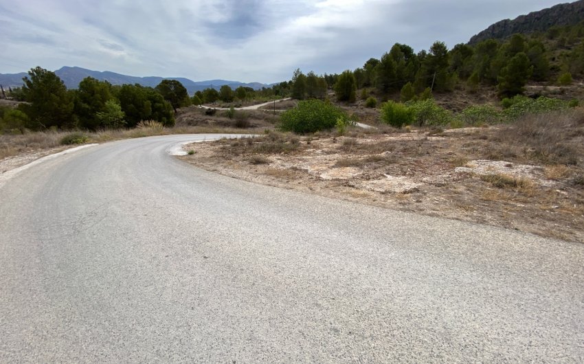 Resale - Country House -
Elda