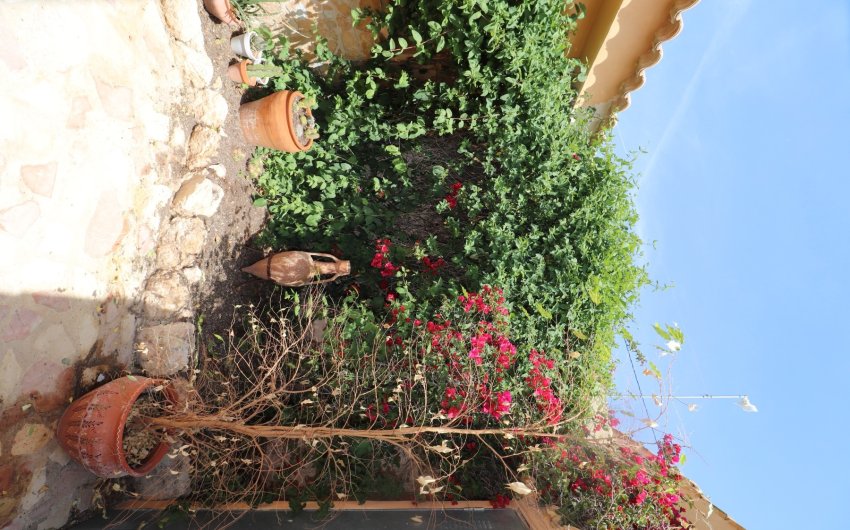 Resale - Country House -
Hondón de las Nieves - LA CANALOSA